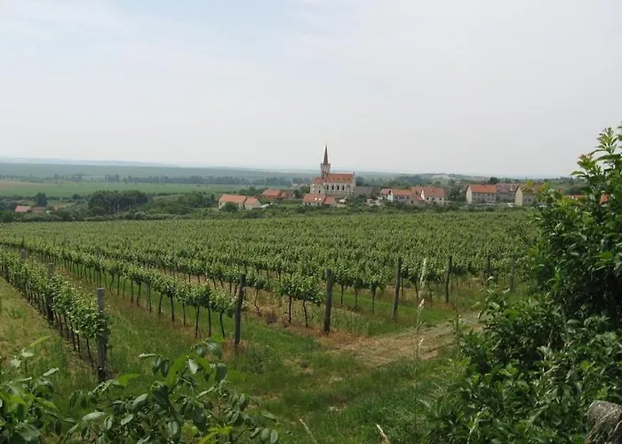 Ferienhaus U Anicky - Ve Vesnickem Stylu Se Zahradou Nemecka Konice